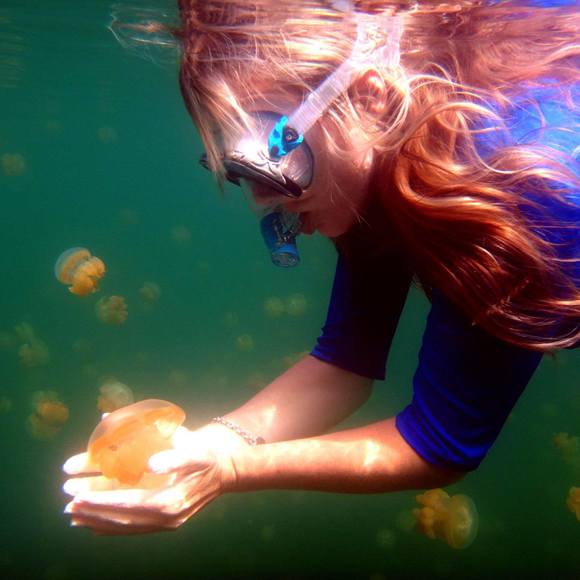 Meet your Posher, Stacy - Picture 1 of 1